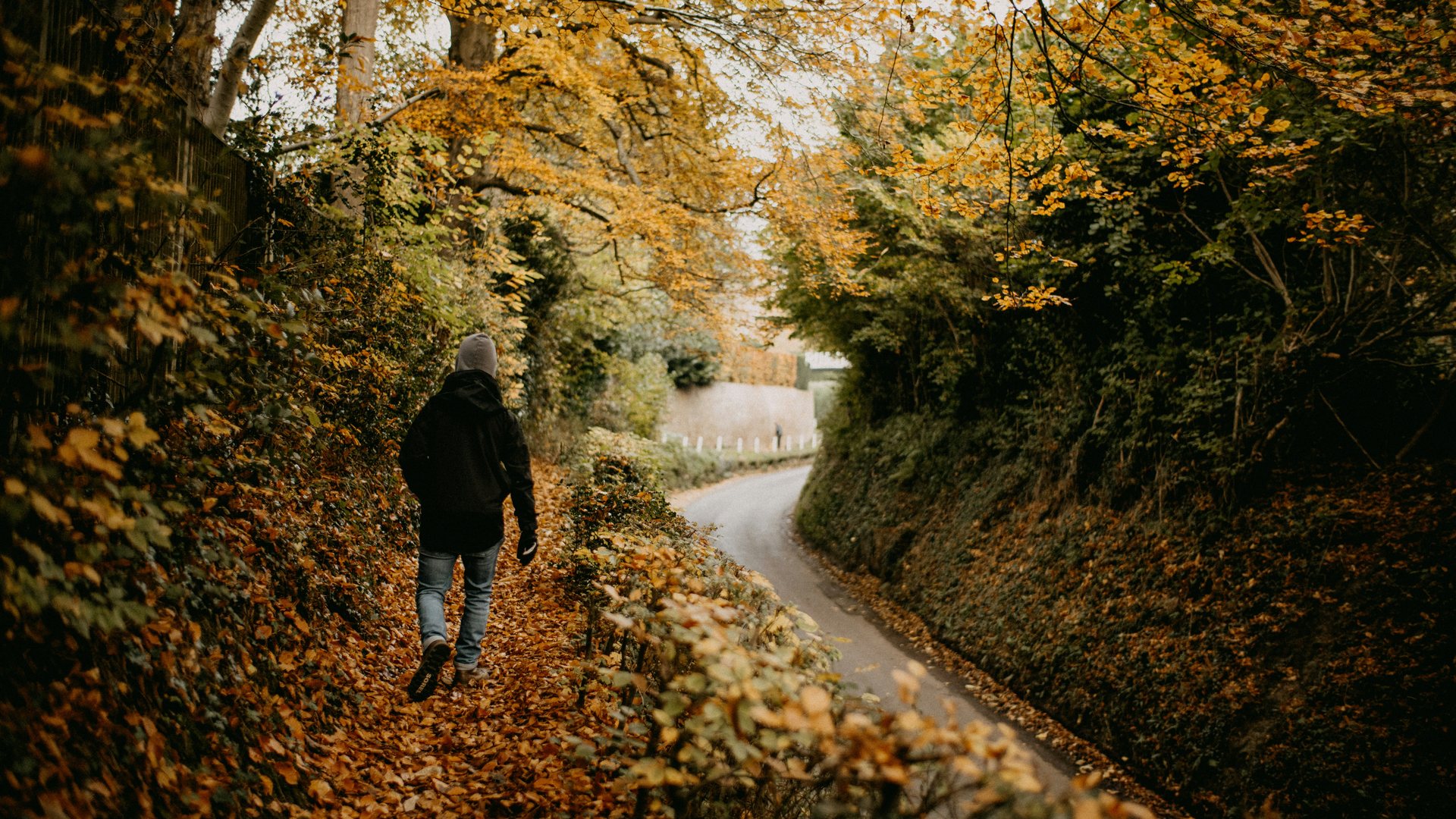 Eine Person geht durch einen herbstlichen Weg mit gefallenem Laub als Bild für Veränderung und Neuorientierung.