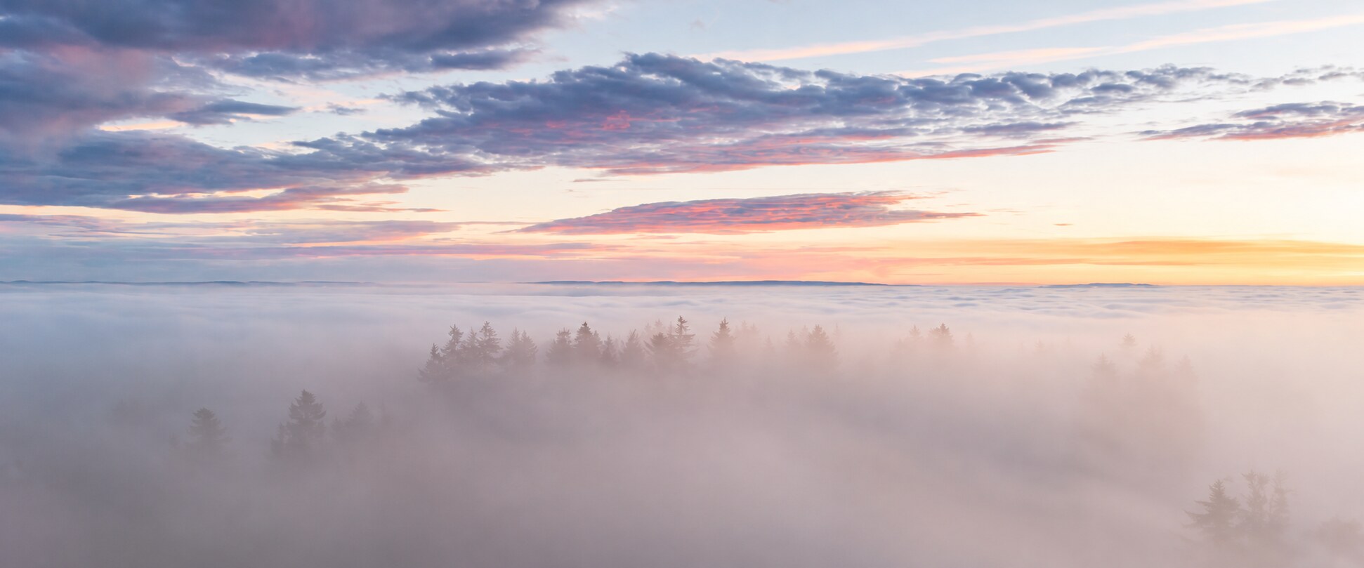 Morgennebel über einem Wald, darüber ein heller Horizont in sanften Rosé- und Blautönen.